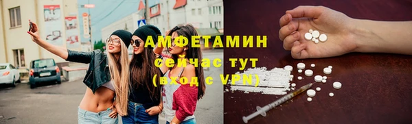 шишки Арсеньев