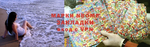 прущие грибы Балахна