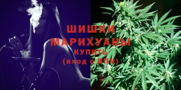 прущие грибы Балахна