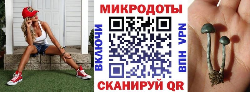 маркетплейс наркотические препараты Озёрск Псилоцибиновые грибы MAGIC MUSHROOMS