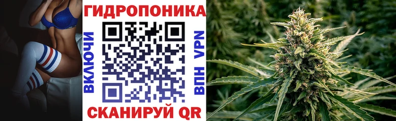 Конопля конопля  наркота  Озёрск 